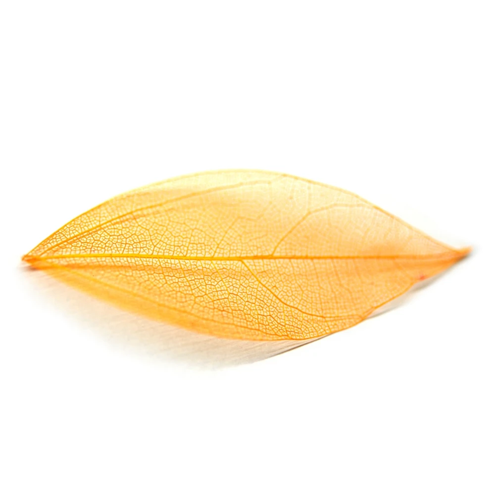 Leaves Orange Украшения для ногтей Стразы сушеные цветы лист аксессуары для ногтей 3D дизайн аксессуары камни Кристаллы принадлежности для маникюра - Цвет: Leaves Orange