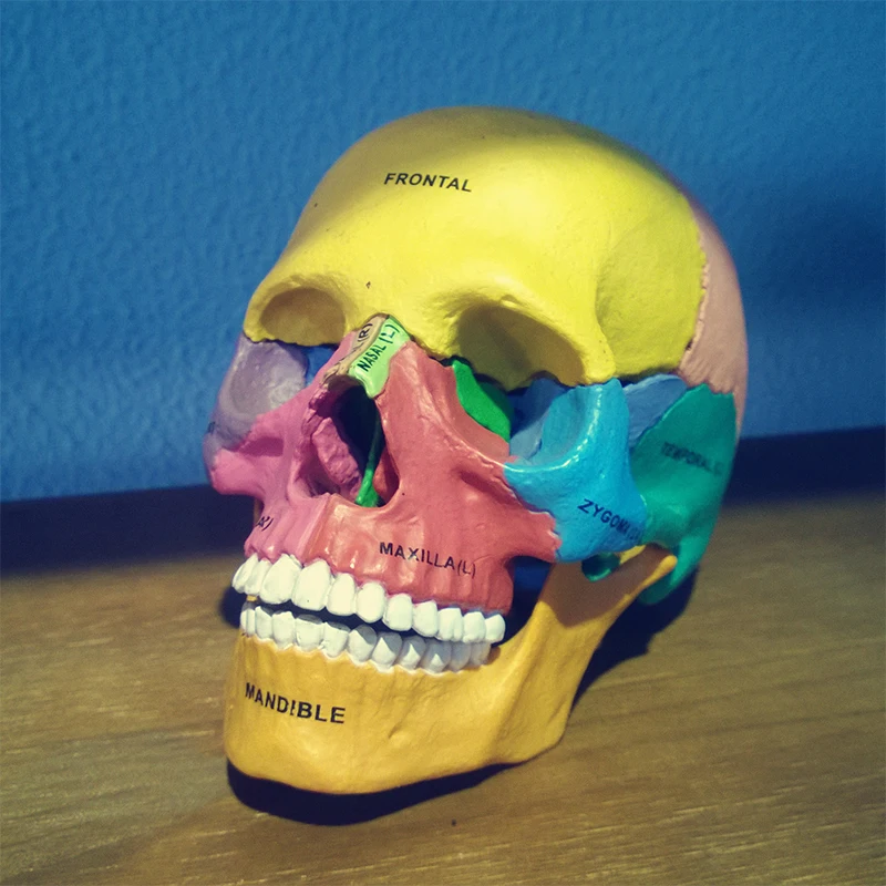 Детские развивающие игрушки сделай сам модель животного 4Dmasters экшн фигурка шарик