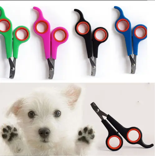 Ножницы для стрижки когтей домашних животных 5 цветов | Дом и сад