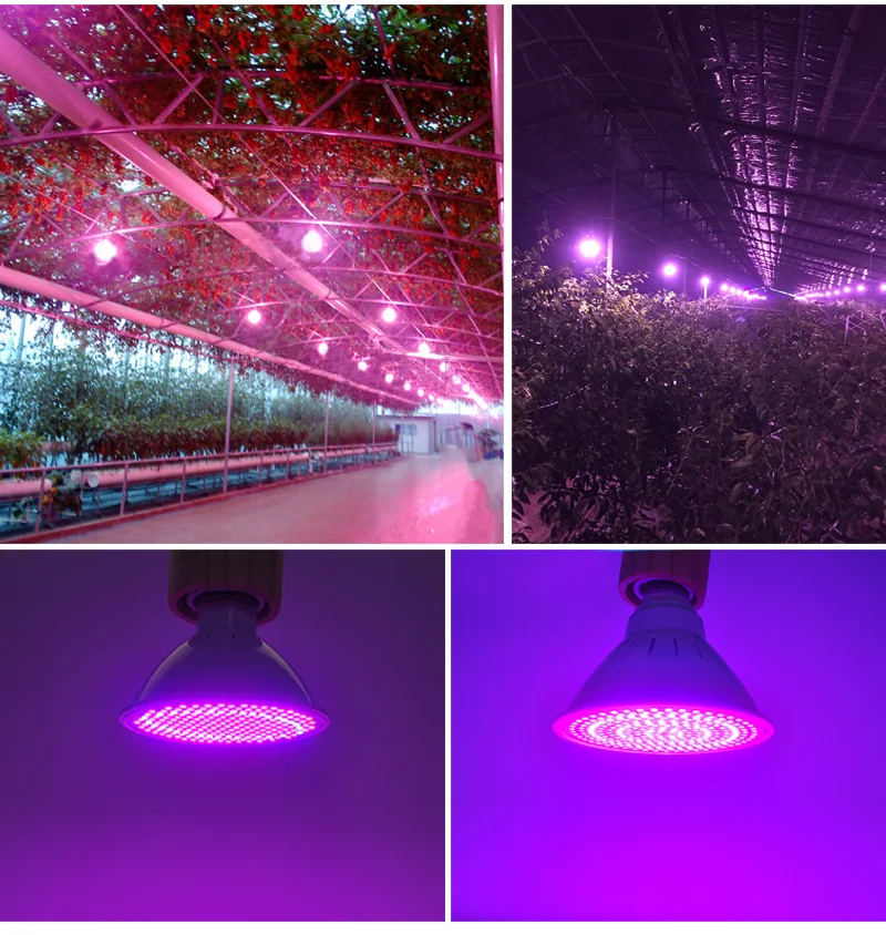 Kaguyahime 3~15W LED Grow Light E27 110V 220V LED Growth Bulb Lamp Full Spectrum 3W 4W 9W Indoor Plant Lighting UV Hydroponics