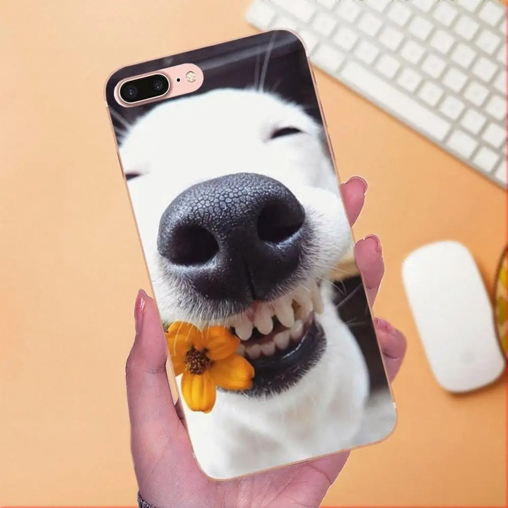 For Galaxy A3 A5 A7 On5 On7 2015 2016 2017 Grand Alpha G850 Core2 Prime S2 I9082 Soft Covers Funny Animal Miniature Husky | Мобильные