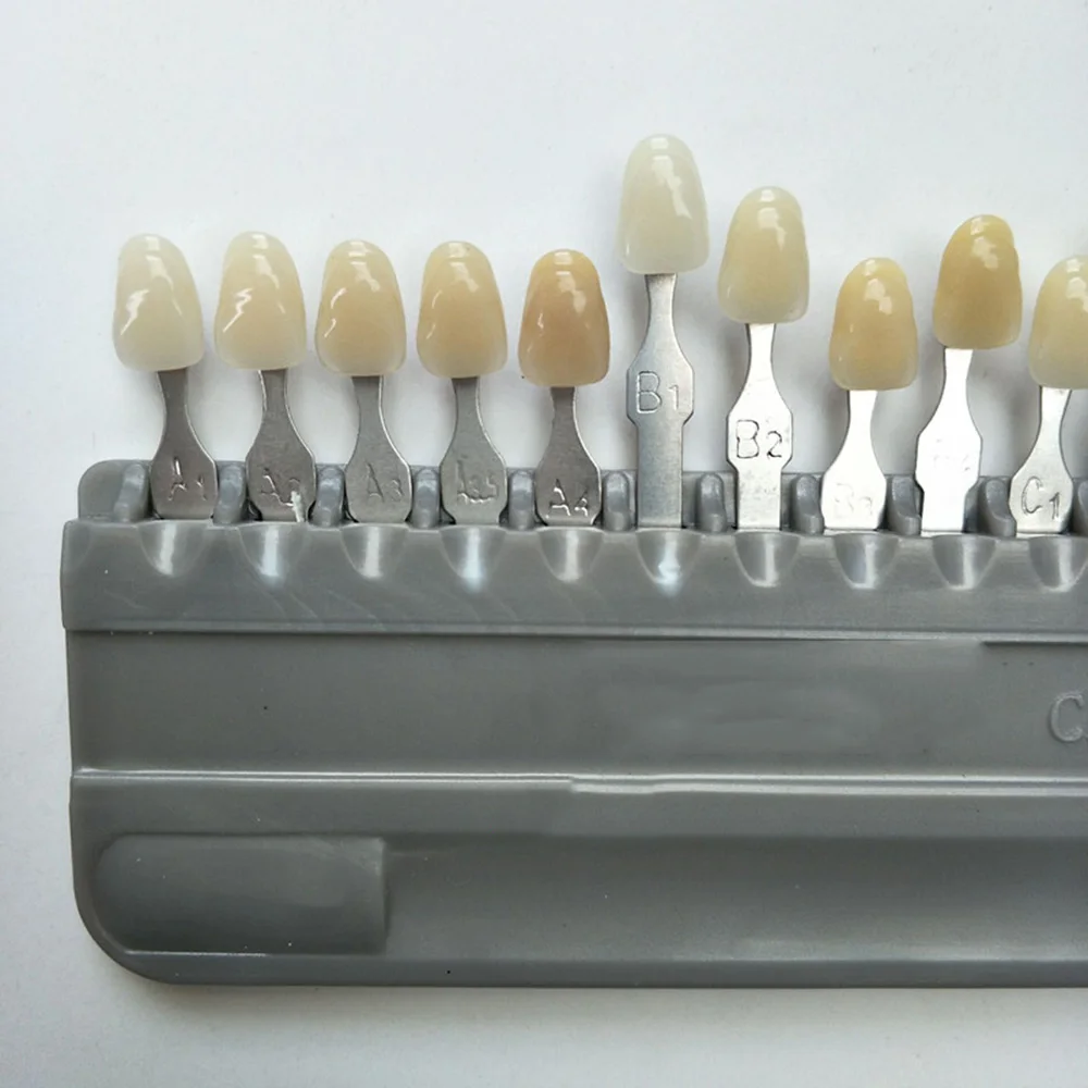 Стоматологический материал цвет зуба модель A1 D4|tooth|tooth colortooth model |