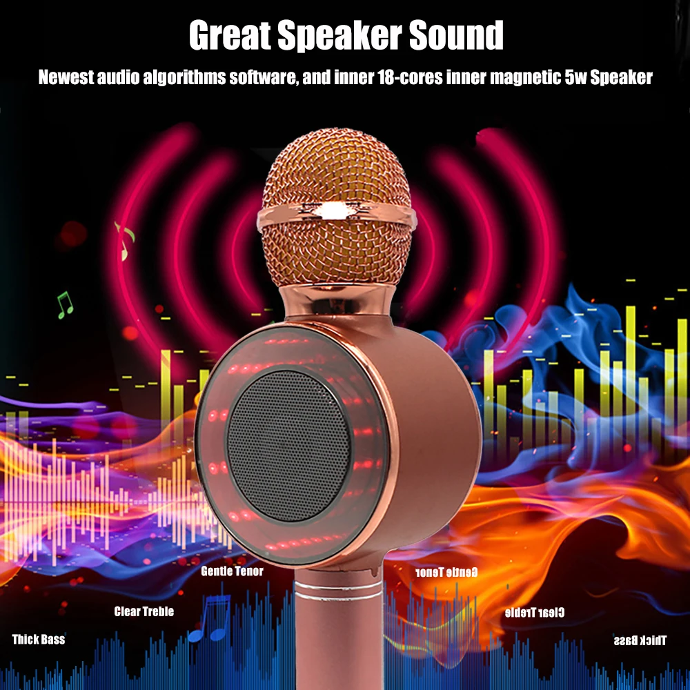 WS668 беспроводной Bluetooth караоке микрофон динамик TF карта/U диск воспроизведение музыки запись FM радио диск светодиодный светильник Mic Pk Ws858