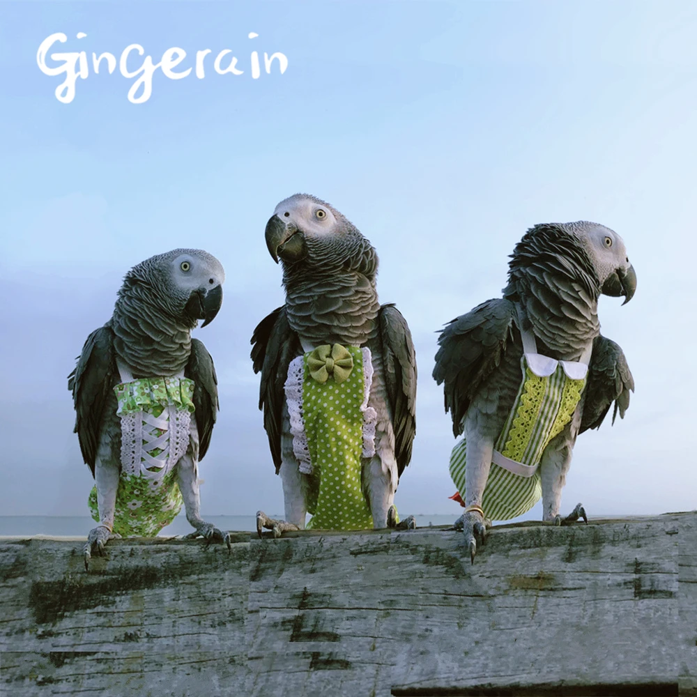 Gingerain одежда с птицами попугай пеленки прохладное лето оригинальный ручной