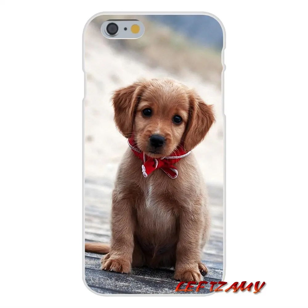 cocker spaniel puppy Slim Silicone phone Case For Samsung Galaxy S3 S4 S5 MINI S6 S7 edge S8 S9 Plus Note 2 3 4 5 8 | Мобильные