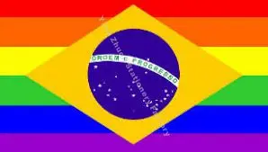 Баннер ЛГБТ разных стран для парней французский флаг гомосексуалистов