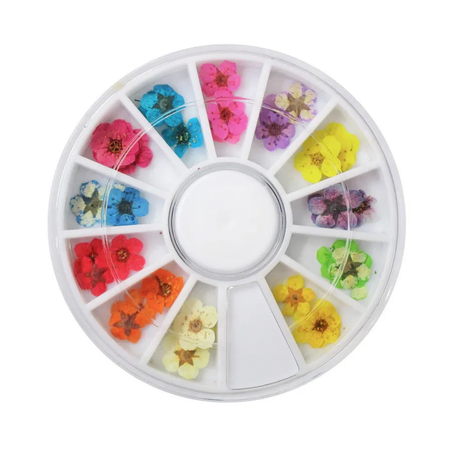 AddFavor натуральный высушенный цветок для ногтей художественное украшение