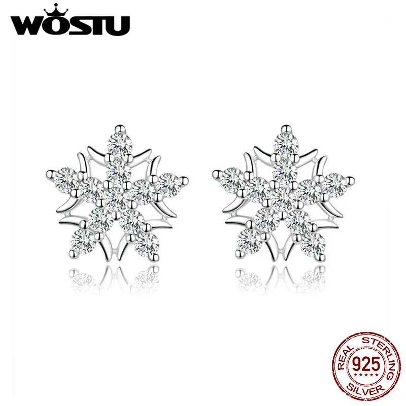 WOSTU Настоящее серебро 925 пробы Снежинка свадебные серьги-гвоздики сверкающий Циркон маленькие серьги для женщин ювелирные изделия FNE228