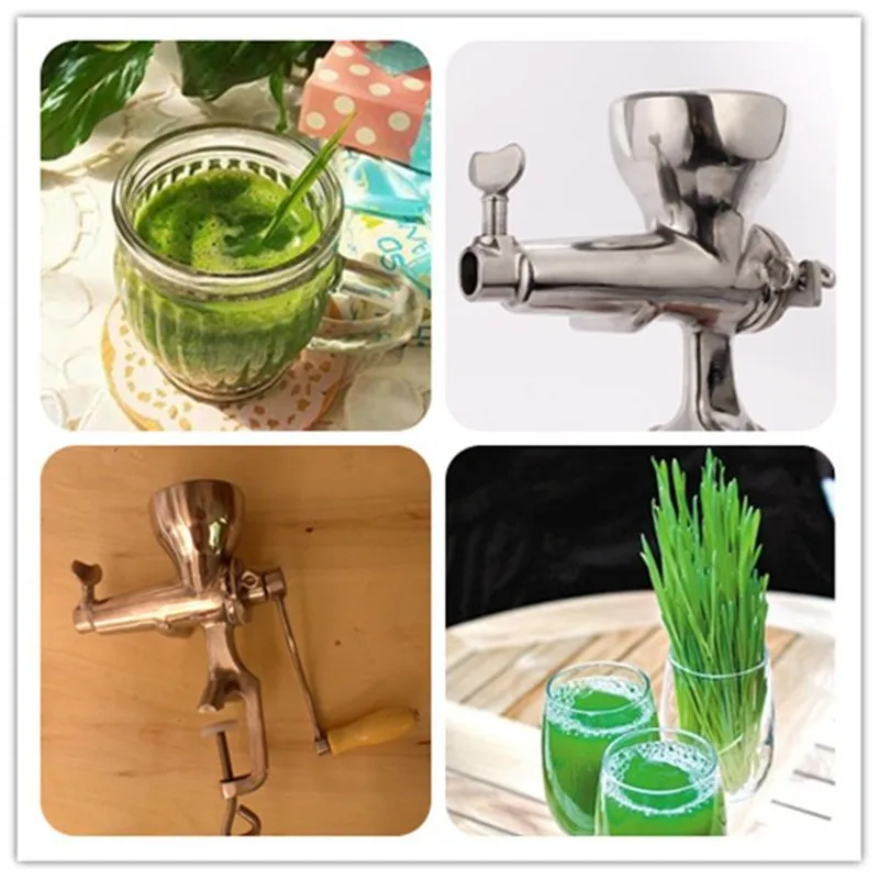 

Healthy wheatgrass juicer home use manual stainless steel wheat grass apple grape lemon cucumber tomato pear juicing machine ZF