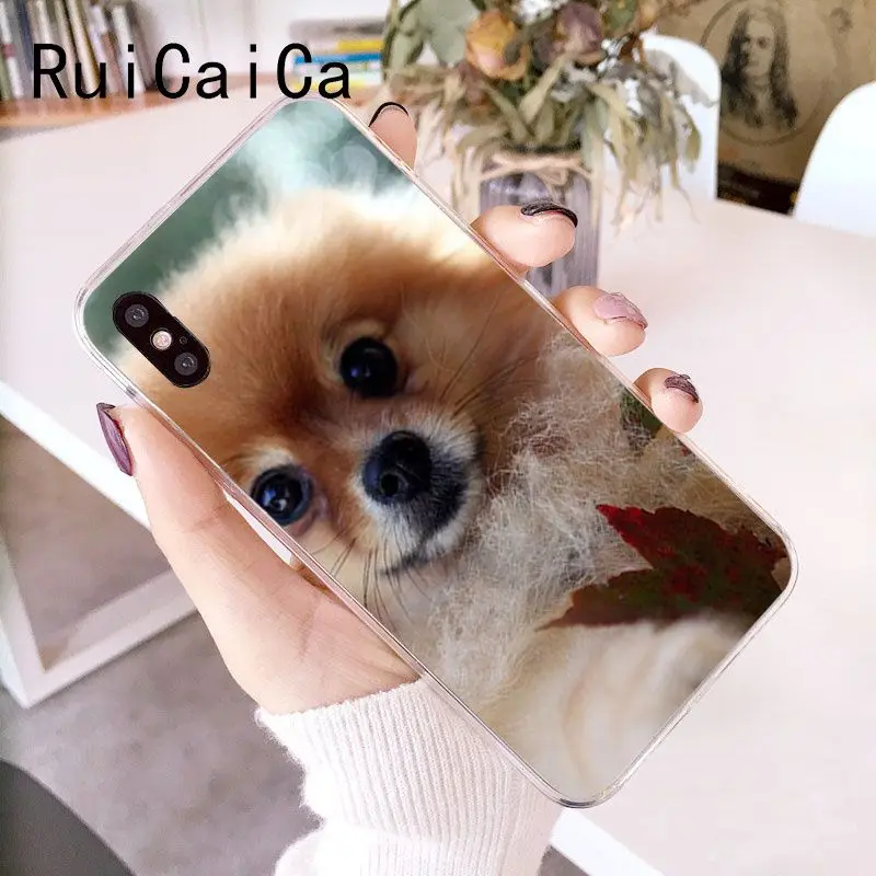 RuiCaiCa померанские собаки DIY Роскошный чехол для iPhone 8 7 6 6S Plus 5 5S SE XR X XS MAX 10 Coque