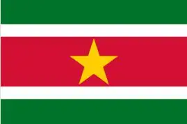 

Surinam Flags Wholesale Lot of 10 PCS National Polyester Banner150* 90cm 3ft x 5ft All over the world outdoor