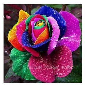 

Diamond Embroidery round Drill Colorful Roses Embroidered round Diamond Stitch Needlework Full Diamond Drill Home Decor 25X25