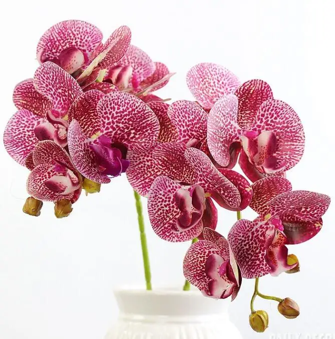 C orchids 30 шт./лот! 3D реального сенсорный 6 глава Искусственные бабочки орхидеи свадебные декоративные фаленопсис EMS - Цвет: C orchids