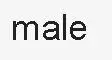 Male Size Необычная игра-приключения Джоджо, аниме, мультфильм, Cos Ghirga Narancia, косплей на Хэллоуин, для мужчин и женщин, карнавальный костюм - Цвет: Male Size