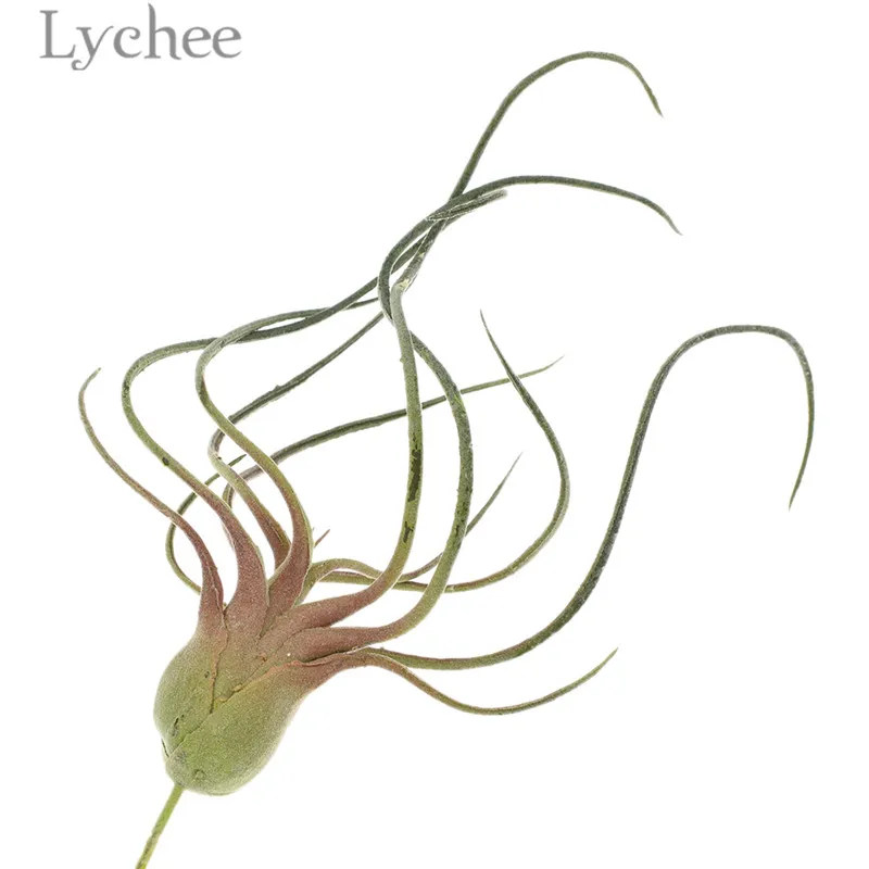 Lychee пластиковое искусственное воздушное растение Tillandsia Capitata декоративное