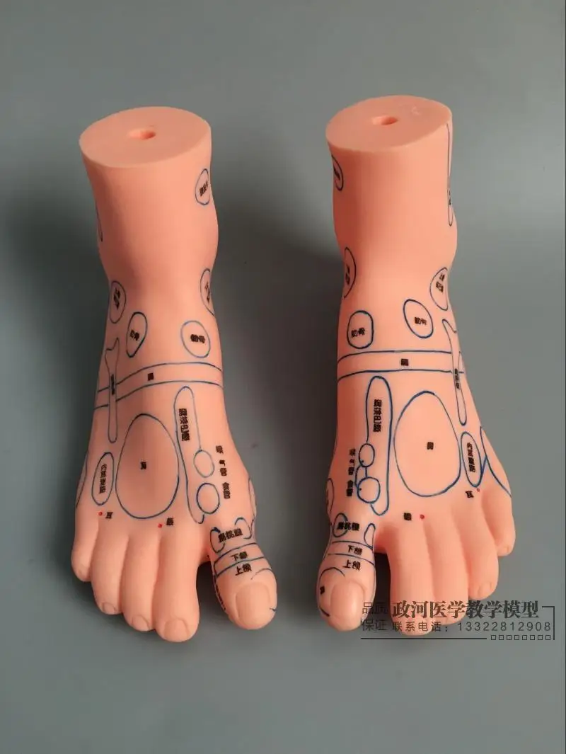 

20*12cm left/right feet model Foot reflex zones massage Acupuncture points moxibustion