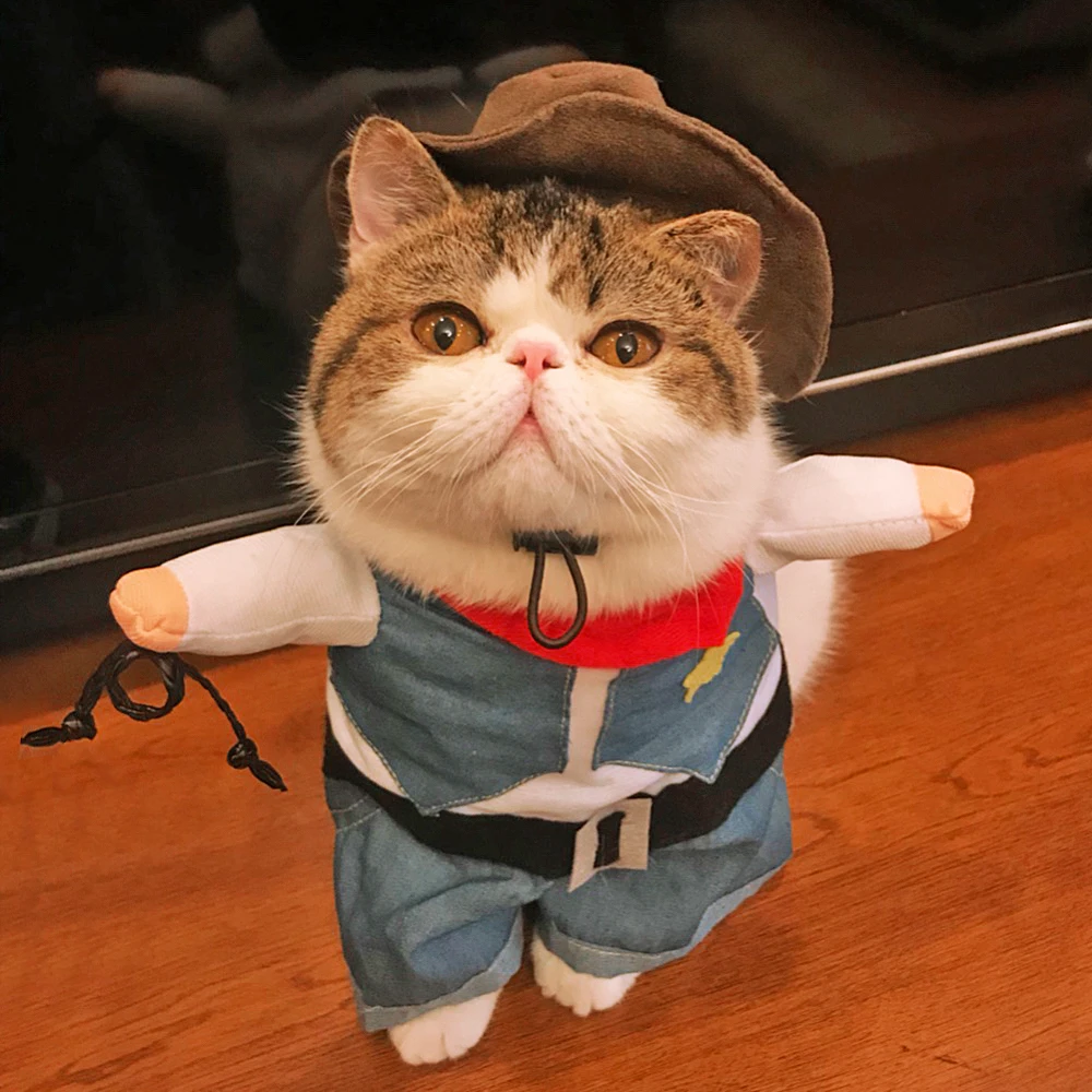 Одежда для собак, кошек, костюмы на Хэллоуин, костюм для домашних животных в ковбойском стиле, костюм для щенков, одежда для рождественской вечеринки, одежда для особых мероприятий, наряд для домашних животных