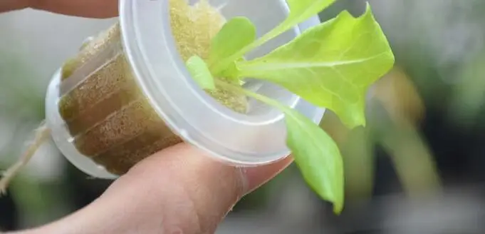 Аэропонный горшок с 15 сетчатым стаканом и портативным нагревательным