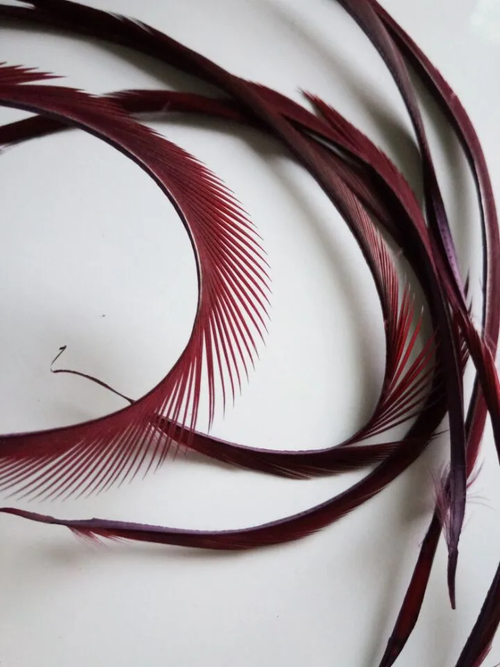 Red wine 10 штук Красивых Перьев гуси, 5-" /13-20 см, diy украшения декоративные аксессуары - Цвет: Red wine