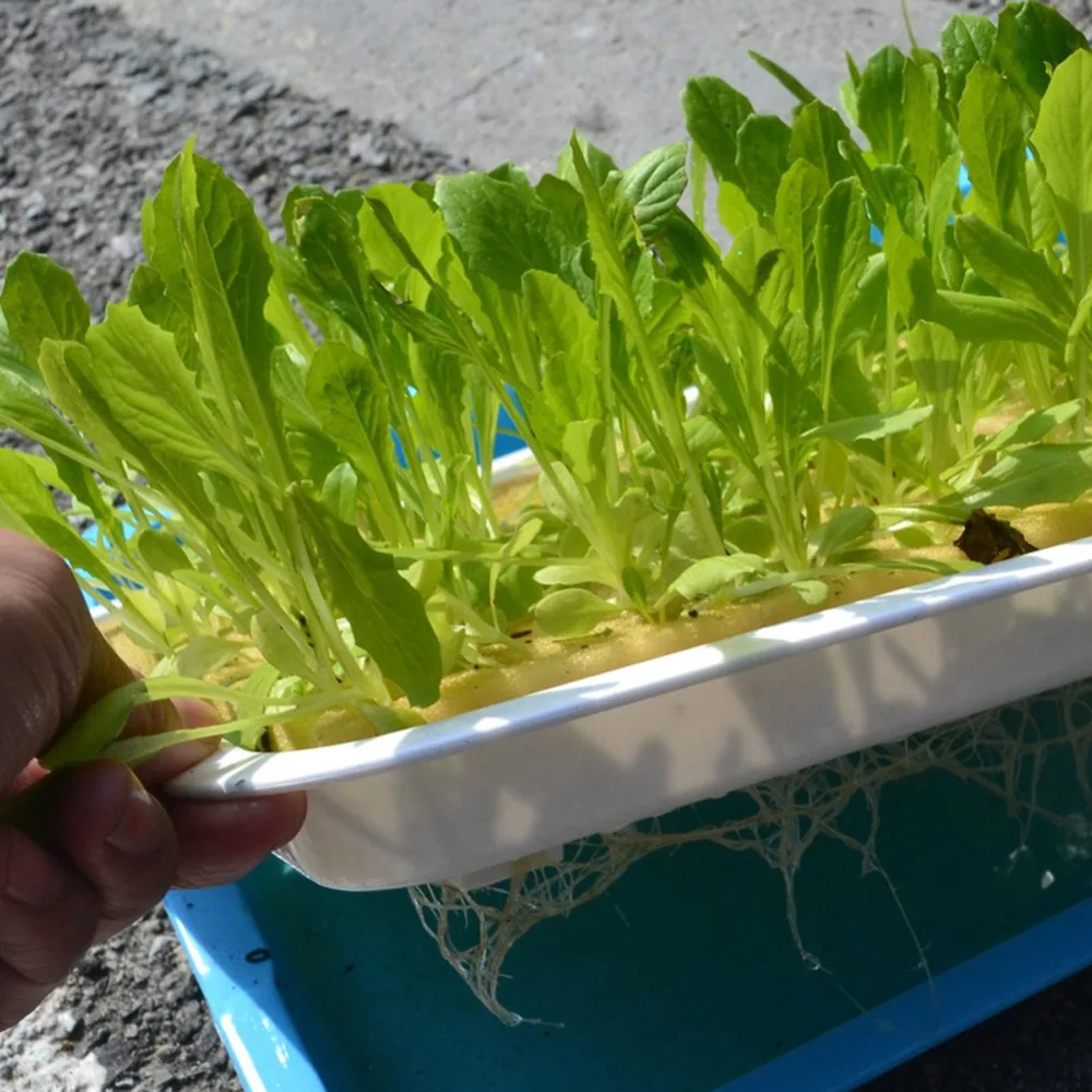 3 x кубики Soilless культивирование губка Гидропоника рассады колонизации губка для выращивания овощей инструменты