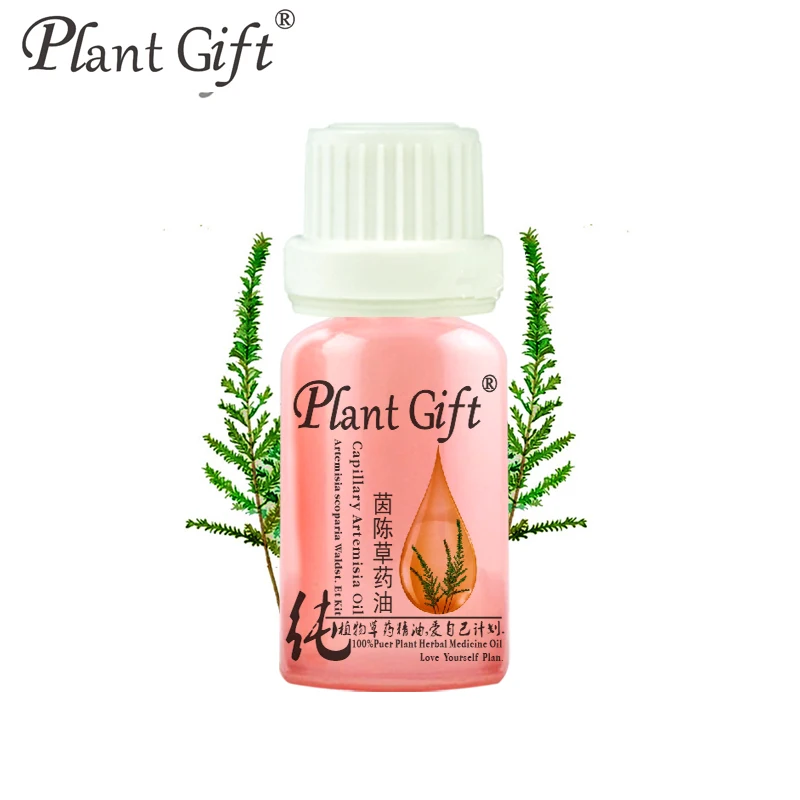 100% чистые искусственные лекарственные масла Herba Artemisiae скопарие травяное масло 10