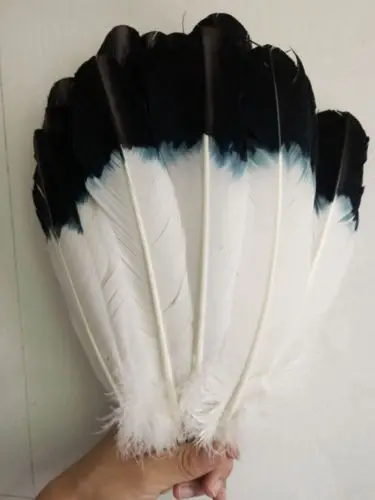 

Wholesale 50 pcs beautiful double dyed black and white Turkey feathers 25 to 30 cm feather clothing decoration
