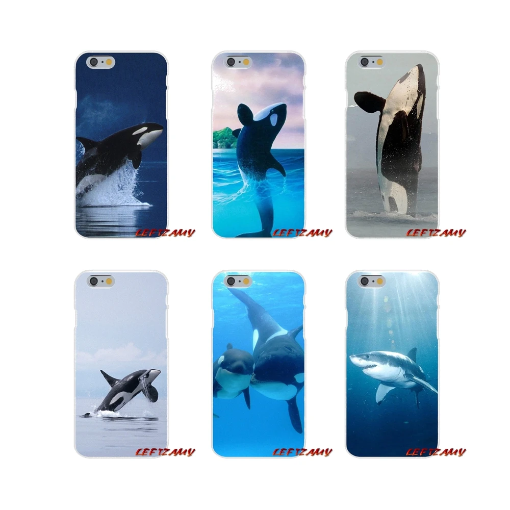Касатка Orca дизайн вдохновение для iPhone X XR XS MAX 4 4S 5 5S 5C SE 6 S 7 8 плюс аксессуары