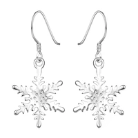 europe and the united states snowflake shape silver earrings 925 silver ear hook jewelry accessories trend ladies earrings