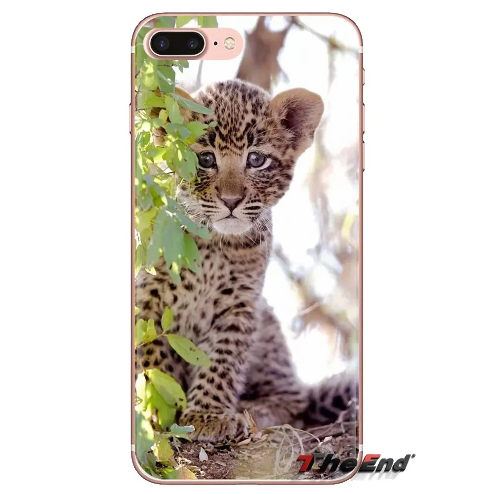 Transparent Soft Covers Baby Cheetah Full Speed Sunset For Samsung Galaxy J1 J2 J3 J4 J5 J6 J7 J8 Plus 2018 Prime 2015 2016 2017 |