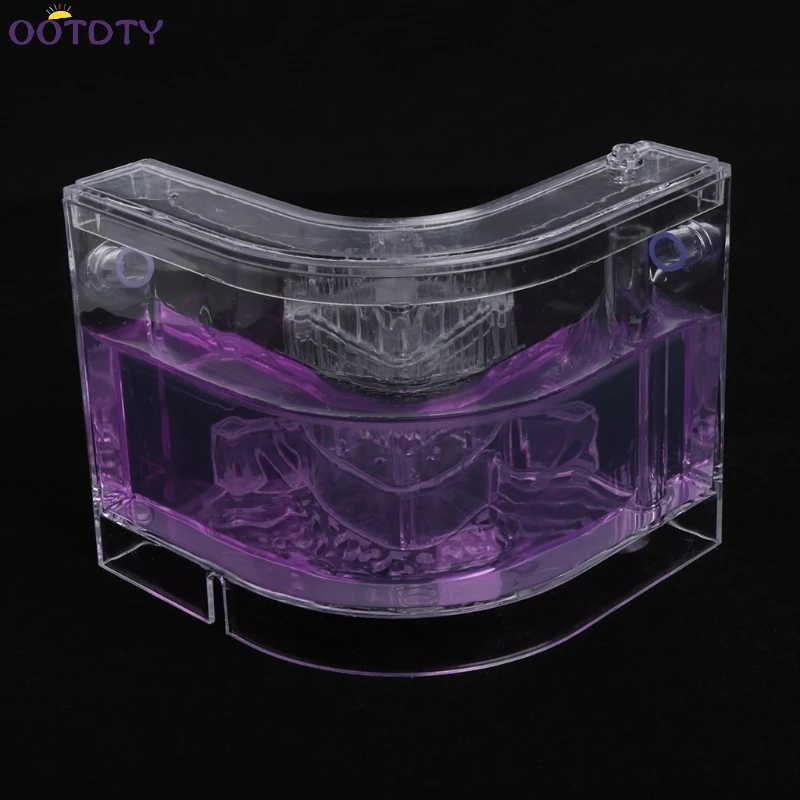3D муравьиная ферма образовательный лабиринт система живого кормления муравьев среда обитания мир домашних животных вилла