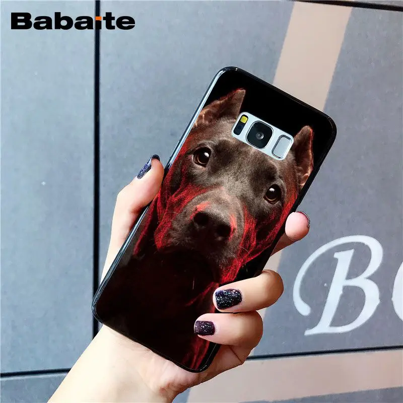 A5 Babaite питбуль прекрасный питбуль чехол для телефона для samsung Galaxy S8 S7 edge S10 Plus S10E S10lite S9 Plus S5 M10 20 - Цвет: A5