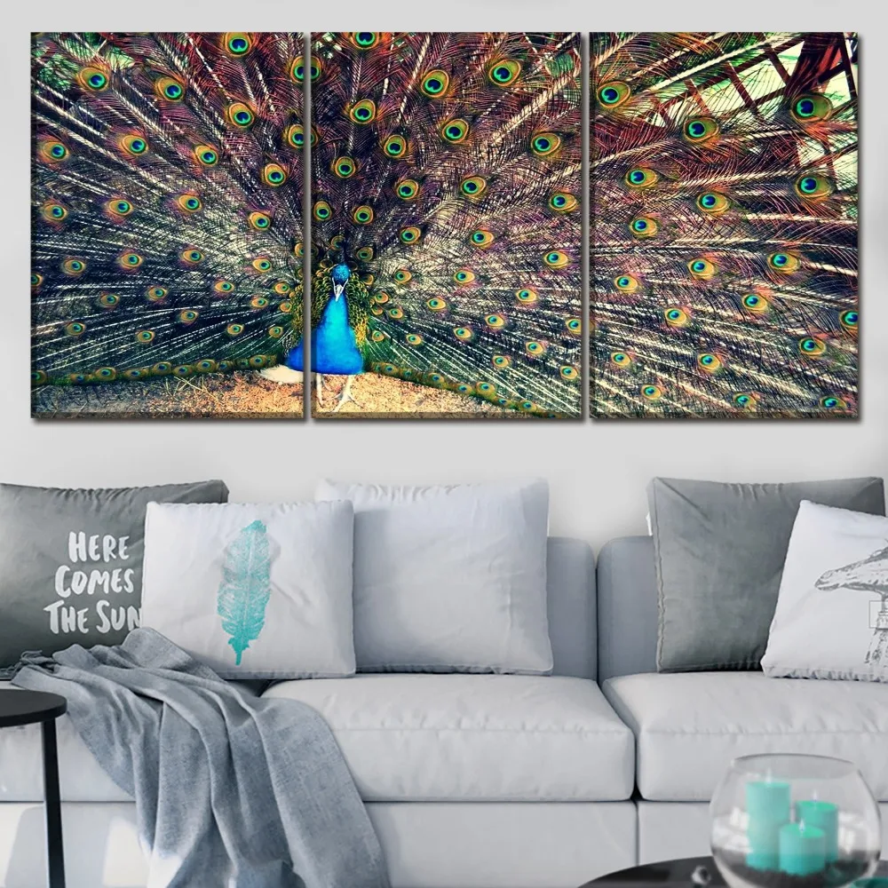 Модульная картина для гостиной 3 шт. животное павлин открытый экран Картина на