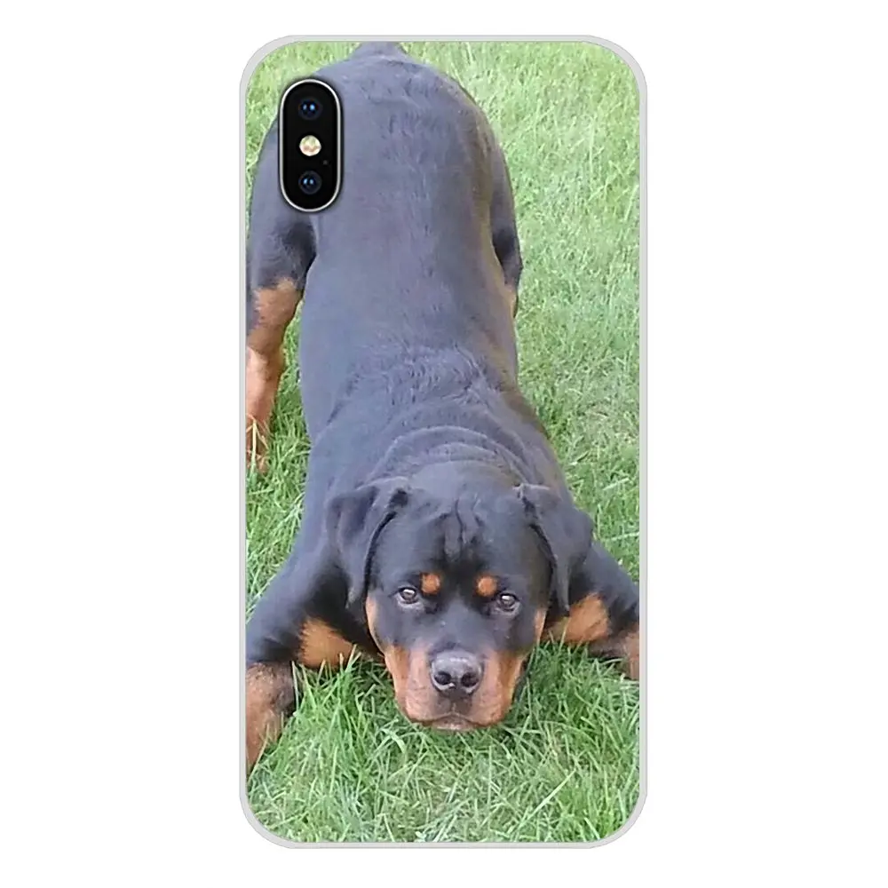 Rottweiler Dog Accessories Phone Shell Covers For Oneplus 3T 5T 6T Nokia 2 3 5 6 8 9 230 3310 2.1 3.1 5.1 7 Plus 2017 2018 | Мобильные
