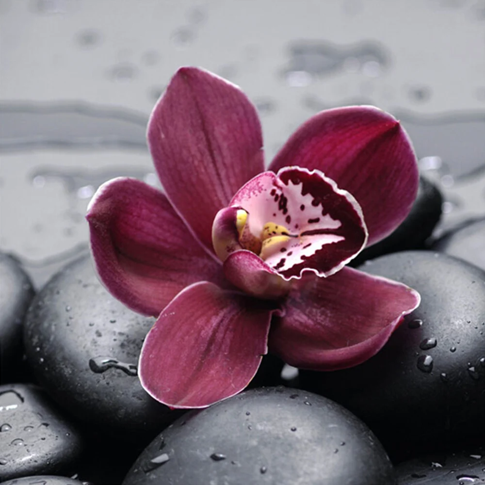 Алмазная 5D картина сделай сам вышивка с розовыми розами стразы полное сверление