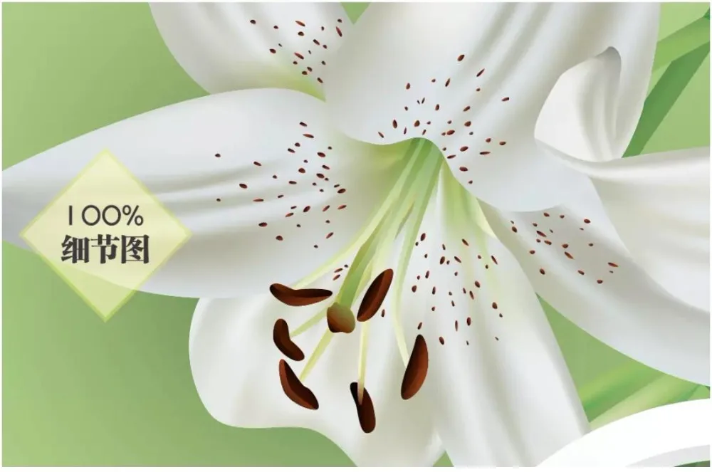 Пользовательские фото обои 3d для стен 3 d красивый цветок сад стиль круг ТВ фон