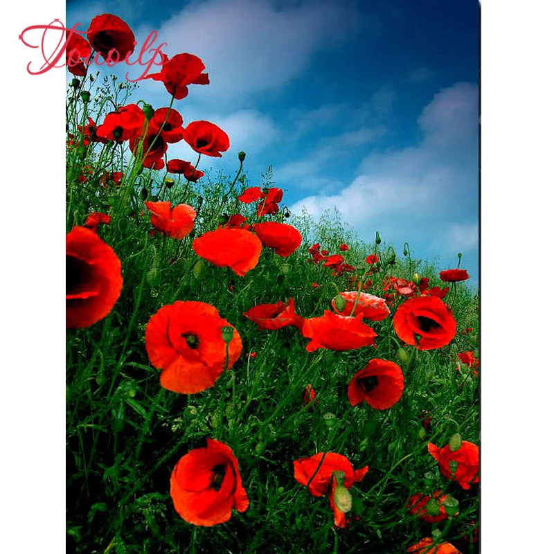 Полноразмерная круглая 5d алмазная живопись сделай сам голубое небо цветущий Мак