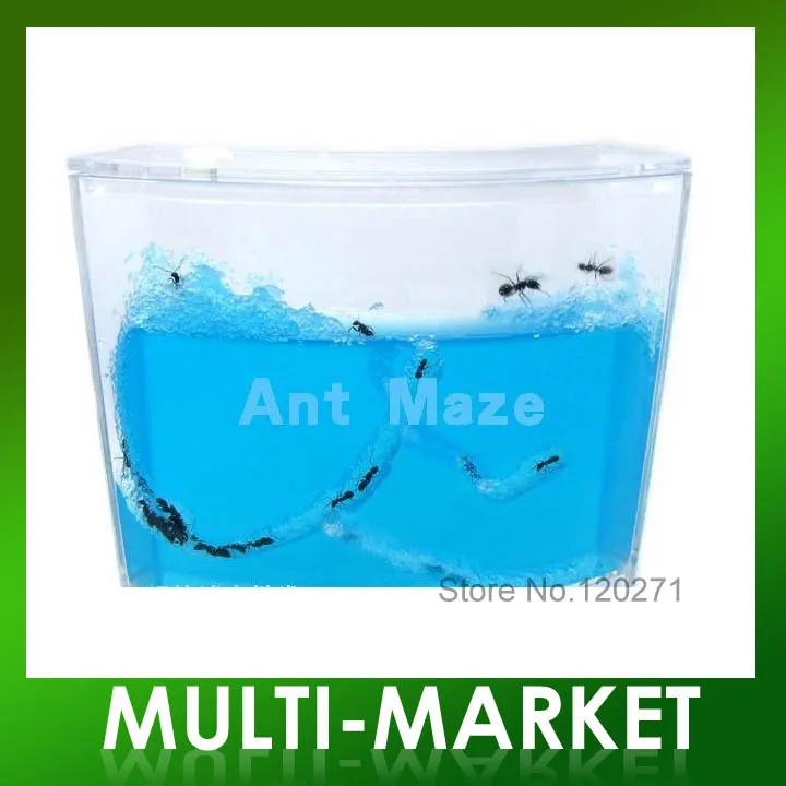 Free shipping/ Ant Farm Maze Novelty Ecological Toys Ants Home Antworks Science Educational Large Size | Игрушки и хобби