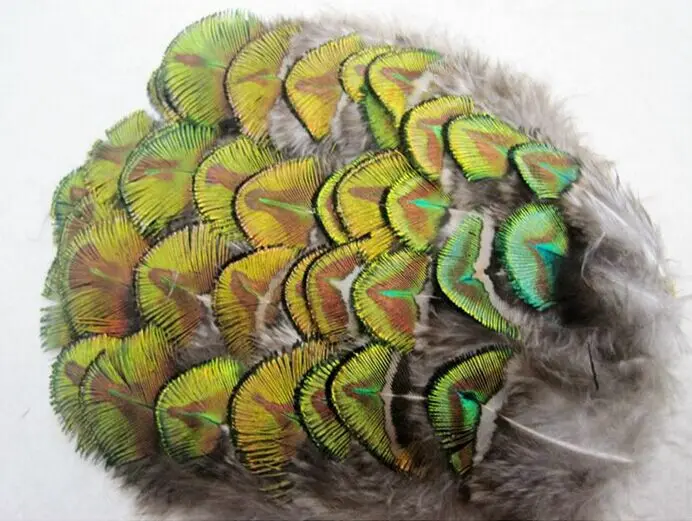 Wholesale 10 pcs beautiful 5-8 cm / 2-3 inches Natural golden peacock feather | Дом и сад