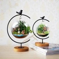 selling new home decoration micro landscape glass hanging bottle iron frame multi meat suspension bracket