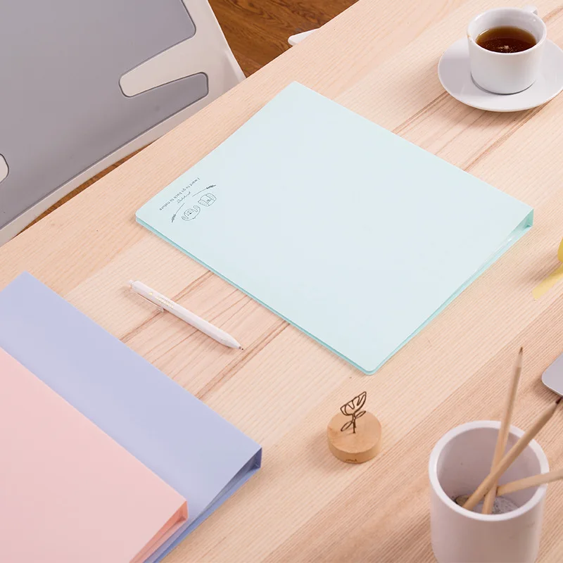 Информационный буклет А4 Папка прозрачная вставка многослойная сумка 30 страниц