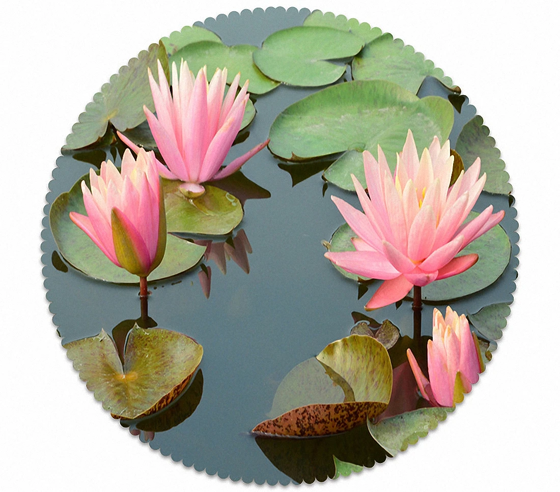 Customizable Tablecloth 3d Classical Lotus Pattern Waterproof Cloth Thicken Rectangular and Round Table for Wedding | Дом и сад