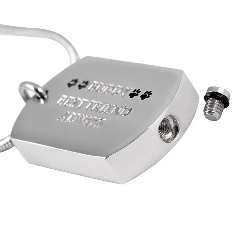 CMJ8022 Buddy Best Friend всегда гравируемая собачья бирка домашнее животное ожерелье для