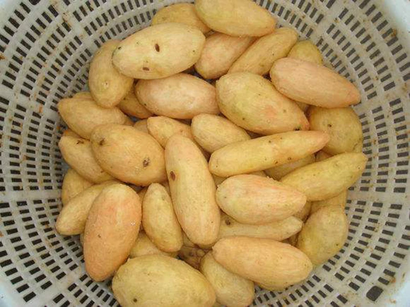 Картофельный арахисовый сладкий картофель к грязи стиральная машина Таро имбирь Очистительная Машина для чистки