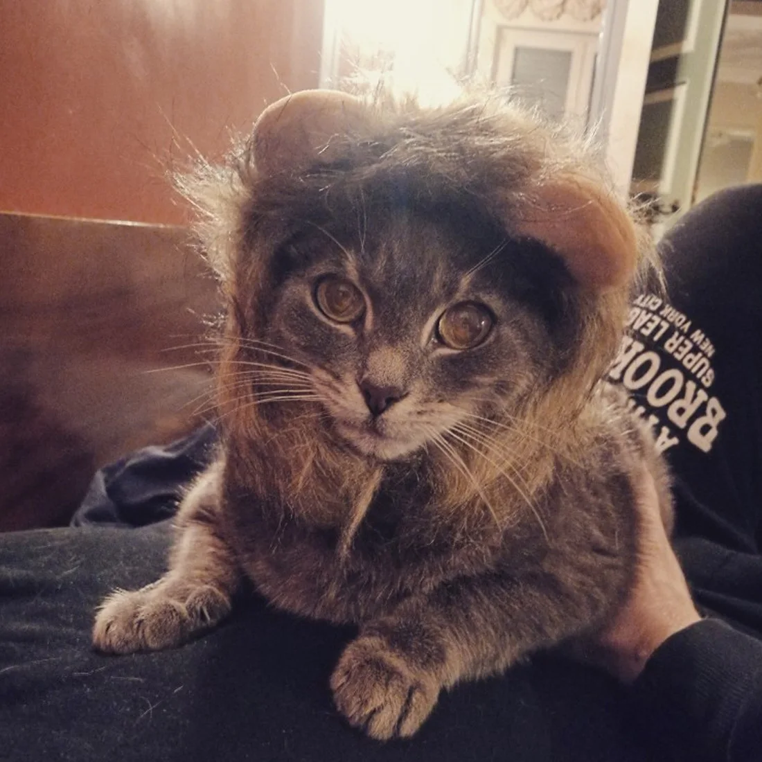 Забавный костюм для домашних животных Косплей льва грива парик шапка кошки