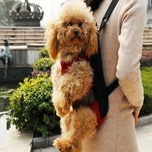 Pet Собаки Кошки Открытый Перевозчик Рюкзак Холст ноги спереди сумка|outdoor carrier|dogs