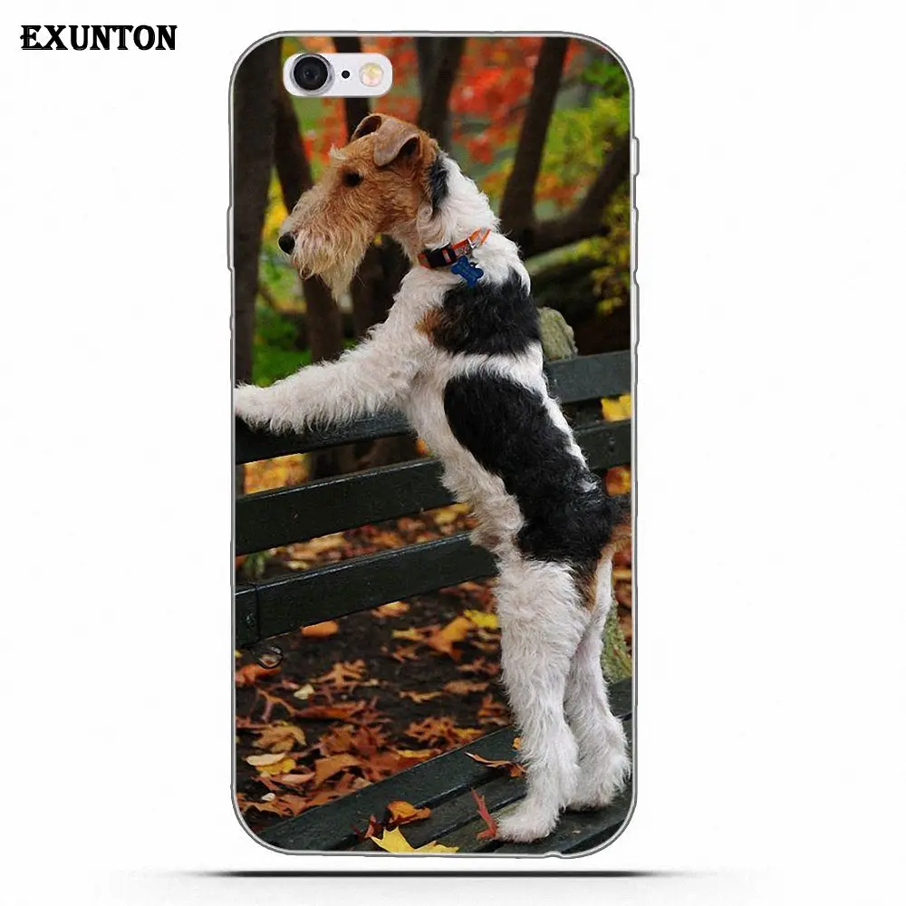 as picture Провод Фокс терьер с очками ТПУ стиль для Apple iPhone 4 4S 5 5C SE 6 6S 7 8 Plus X - Цвет: as picture
