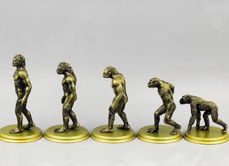 

Декоративная фигурка из ПВХ Darwinian модель человеческого происхождения 5 шт./компл.