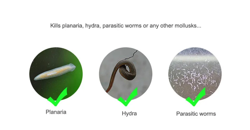 12 мл червь дезинфицирующее средство Hydra Planaria убийца для аквариума рыбы Креветки Танк
