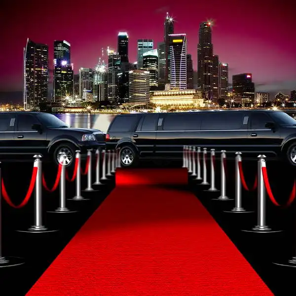 

MR-1974 Hollywood VIP Red Carpet Luxury Car Fotografia Photo Background Backdrop Vinyl Baby Newborn Child