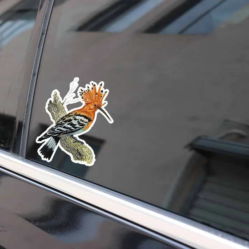 YJZT 12 3 см * 16 6 Hoopoe желто коричневая декоративная наклейка на окно из ПВХ 11